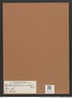 Thalassiothrix frauenfeldii Grun. (de-Toni-Nr.: Genus 67, Species 2669) Zeichnungen Sammlung Grunow Mappe 02876 (Herbarium_W_Grunow_drawings_Folder_02876)